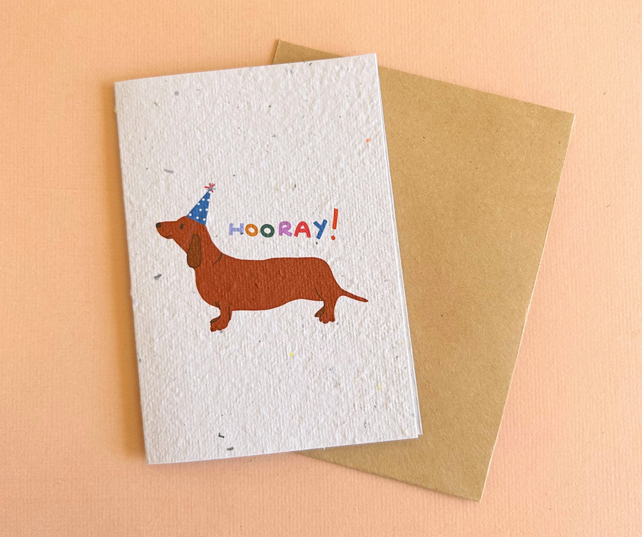 Hello Petal - Hooray Card