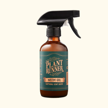 The Plant Runner - Neem Oil - Natural Leaf Shine