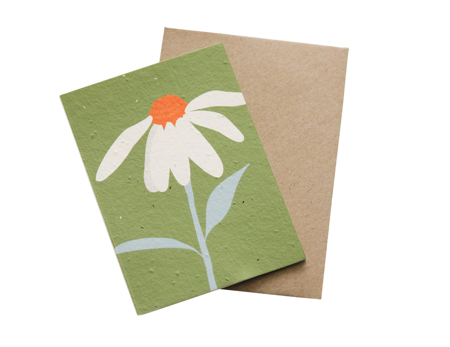 Hello Petal - Hey Flower Plantable Card